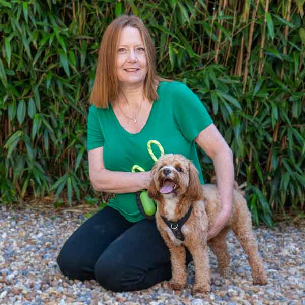 Wendy Harckham - AVC (Web)