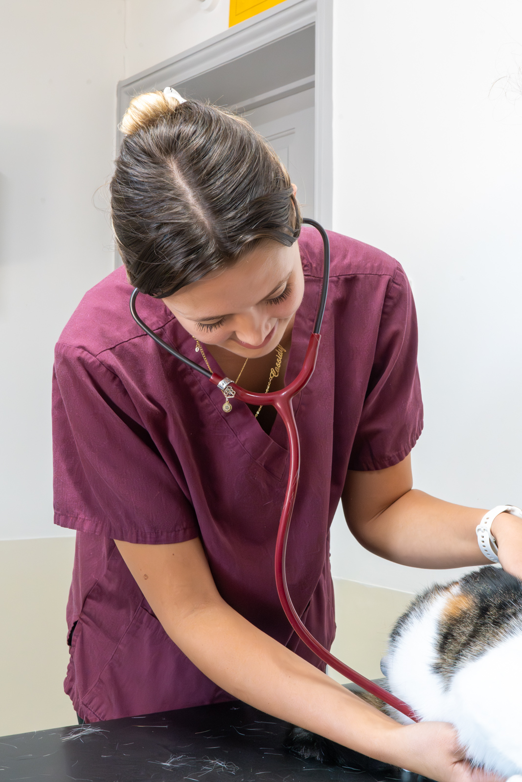 Adelaide Veterinary Centre (Web) 034