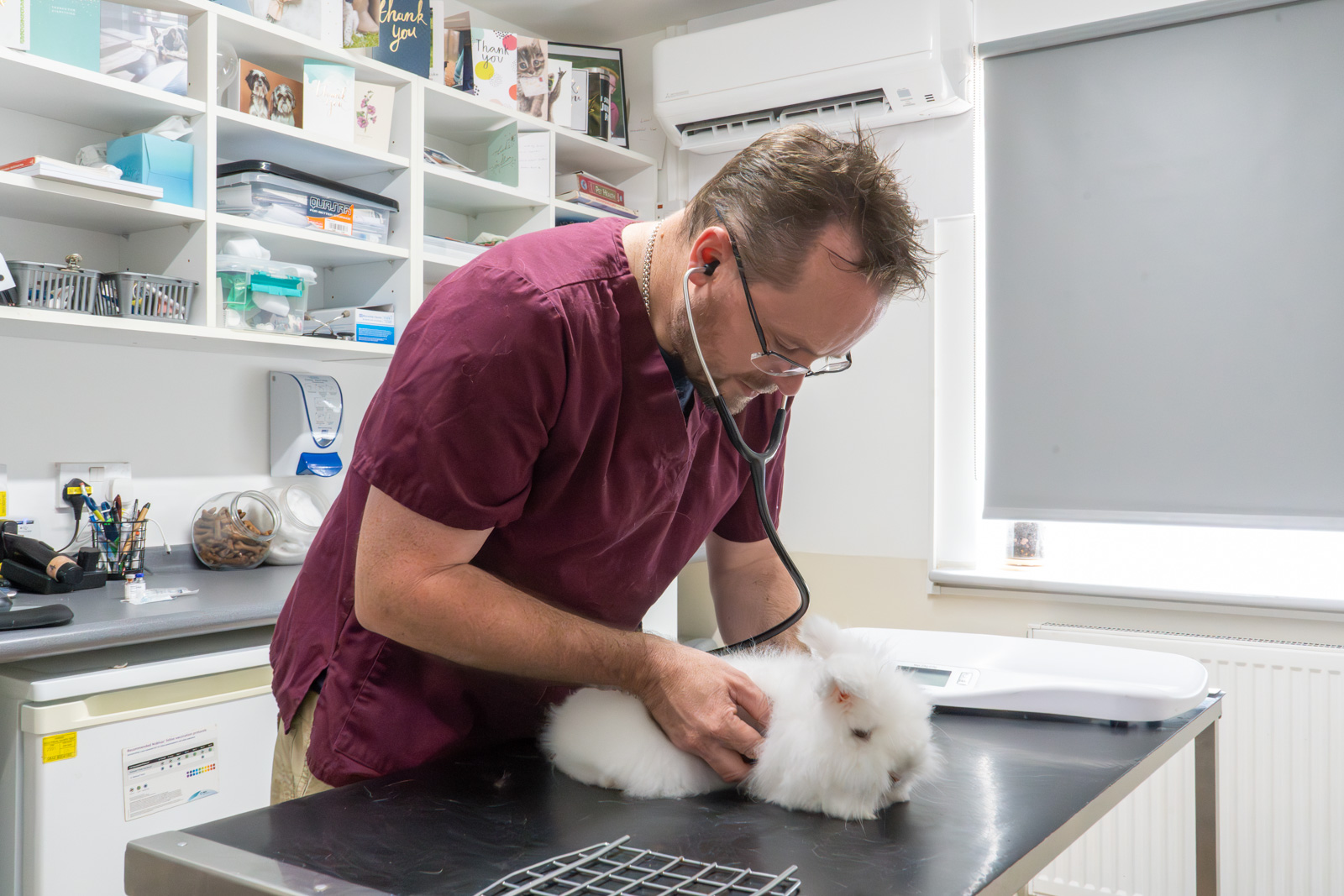 Adelaide Veterinary Centre (Web) 038