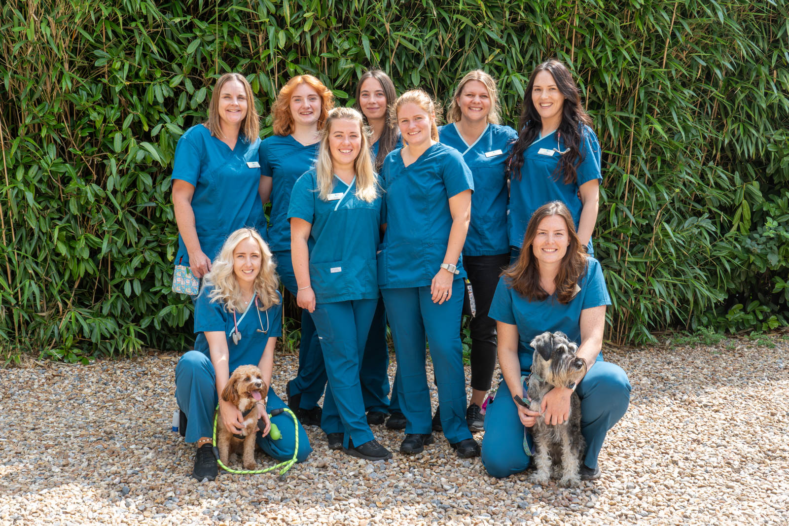 Adelaide Veterinary Centre (Web) 041